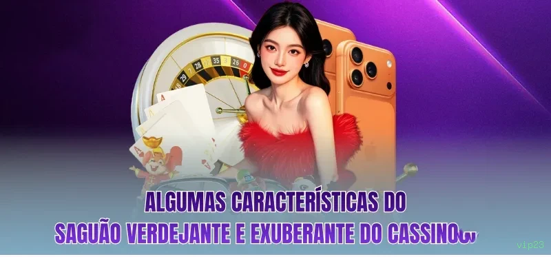 Suporte VIP vip23 - atendimento prioritário